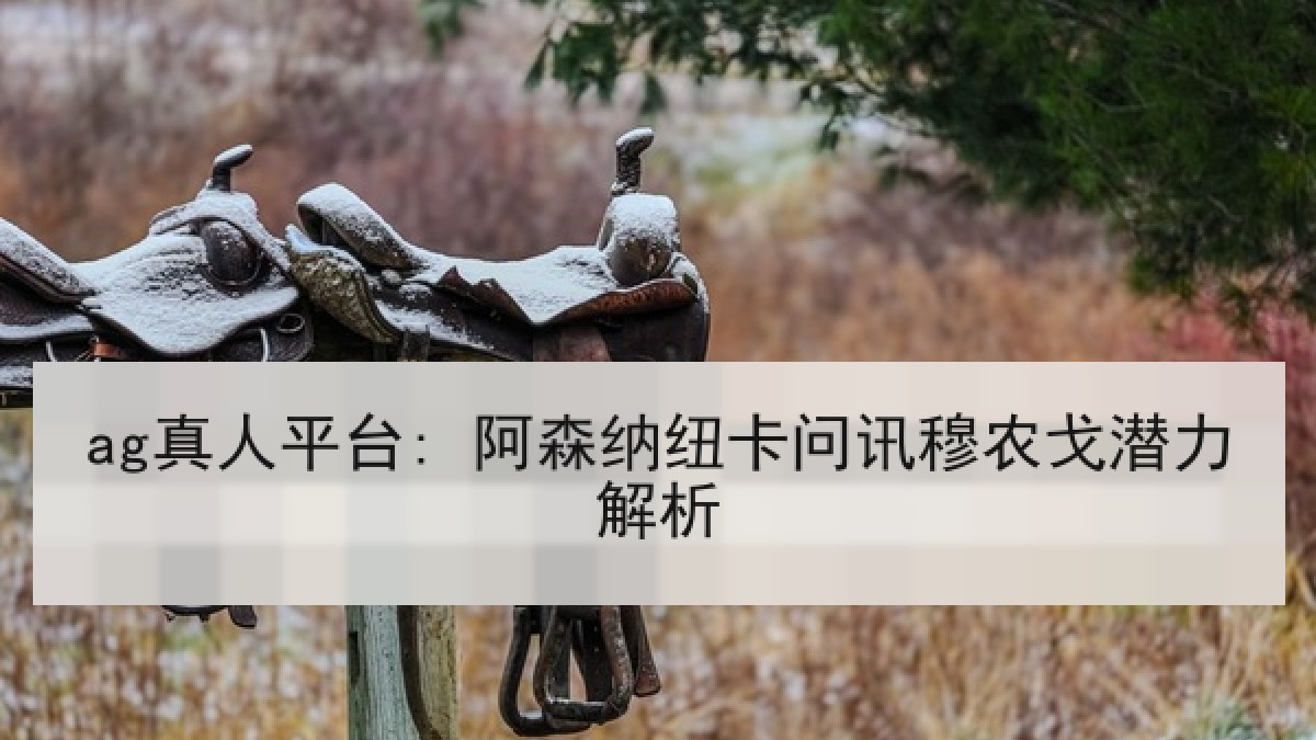 ag真人平台: 阿森纳纽卡问讯穆农戈潜力解析