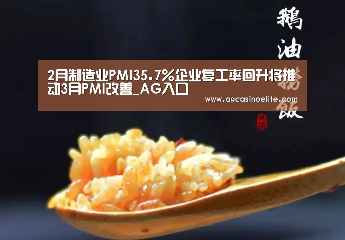 2月制造业PMI35.7%企业复工率回升将推动3月PMI改善_AG入口